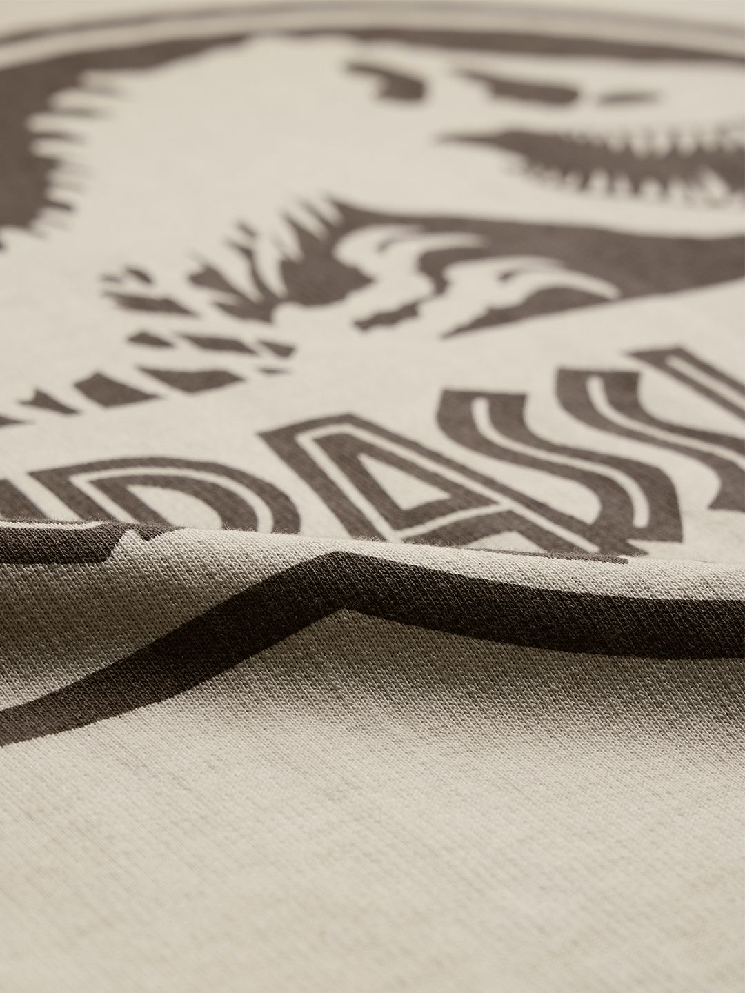 Jurassic Park: Logo Women Oversized T-Shirts