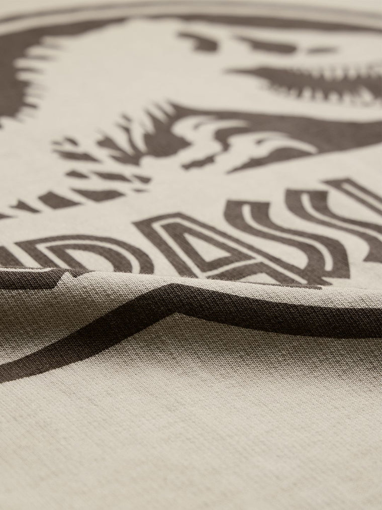 Jurassic Park: Logo Women Oversized T-Shirts