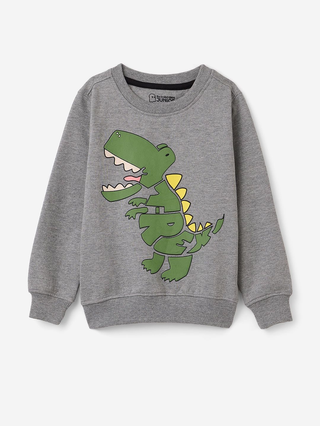 TSS Originals: T-Rex Boys Sweatshirts (2-8 Yrs)