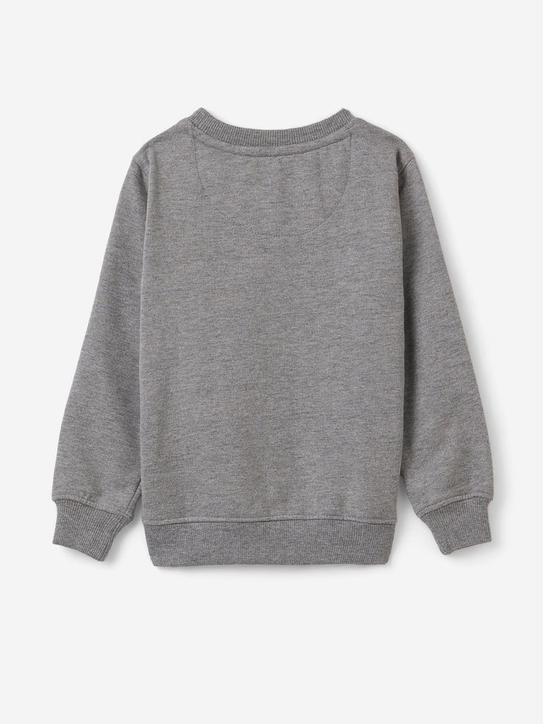 TSS Originals: T-Rex Boys Sweatshirts (2-8 Yrs)