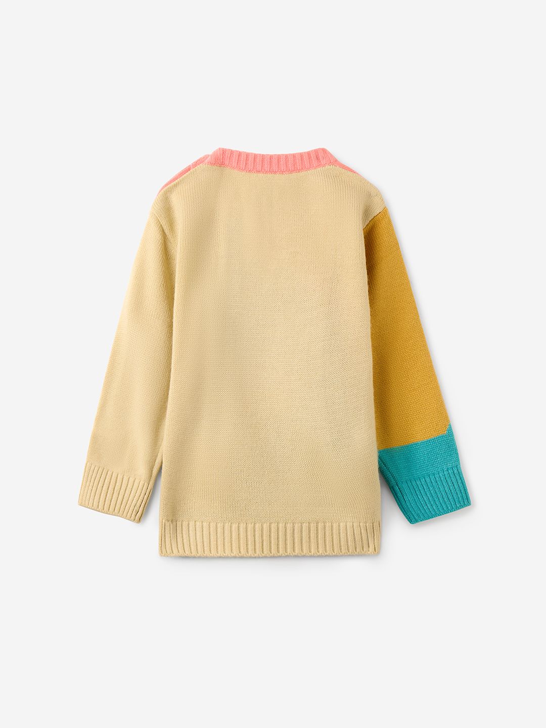 TSS Originals: Baby Lion Infant Boys Sweater (0-2 Yrs)