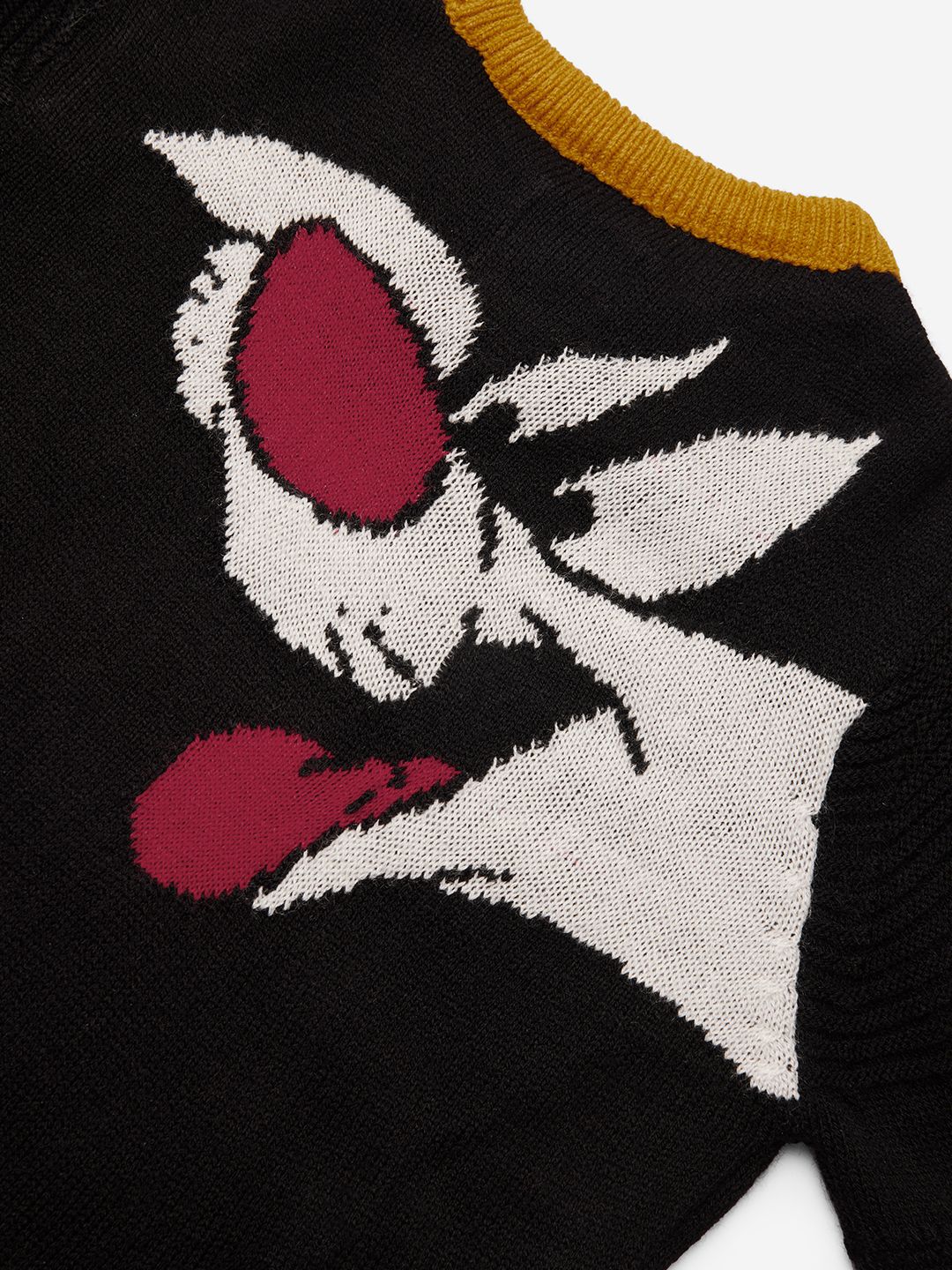 Looney Tunes: Sylvester And Daffy Boys Sweaters (2-8 Yrs)