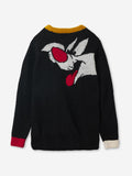 Looney Tunes: Sylvester And Daffy Boys Sweaters (2-8 Yrs)