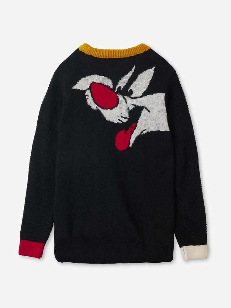 Looney Tunes: Sylvester And Daffy Boys Sweaters (2-8 Yrs)