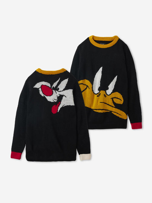 Looney Tunes: Sylvester And Daffy Boys Sweaters (2-8 Yrs)
