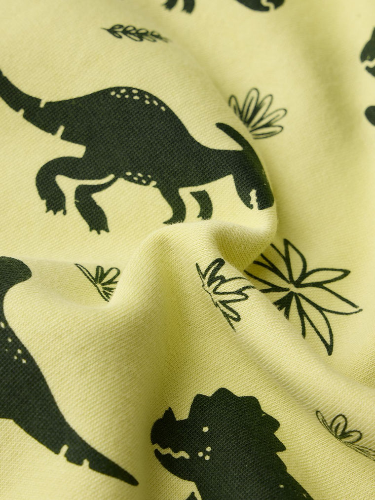 TSS Originals: Dino Infant Boys Hoodies (0-2 Yrs)