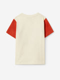 TSS Originals: Little Camper Boys Cotton T-Shirts (2-8 Yrs)