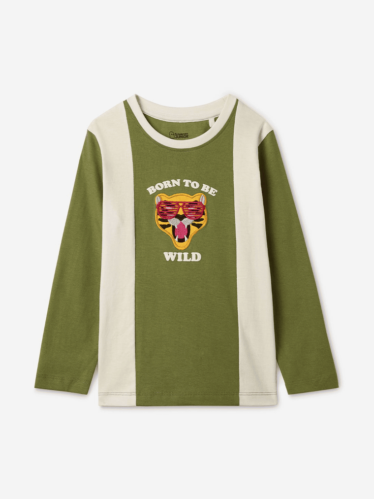 Colour Block T-Shirt: Born To Be Wild Boys Full Sleeve T-Shirts (2-8 Yrs)