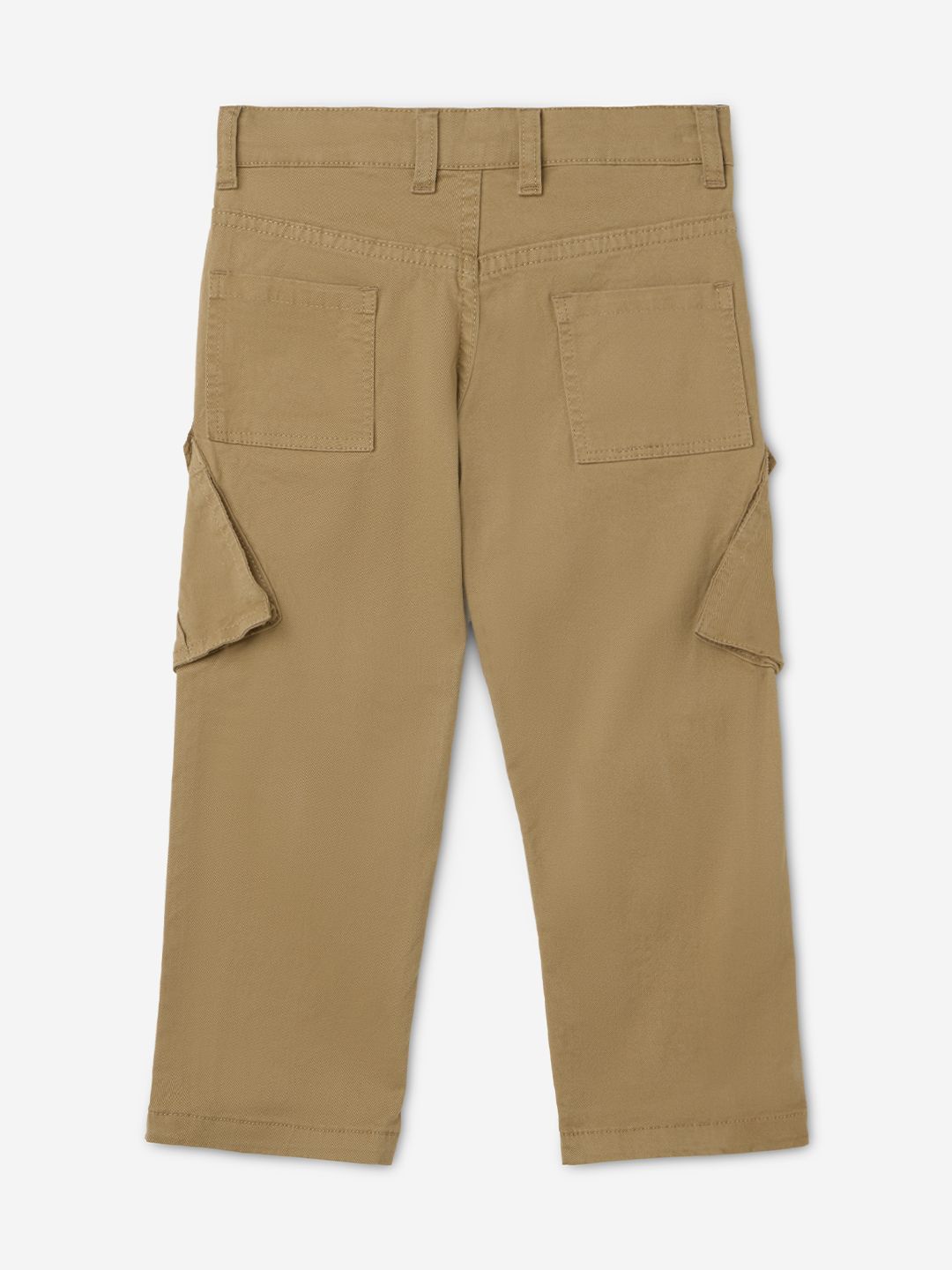 Solids: Dark Beige Boys Cargo Pants (2-8 Yrs)