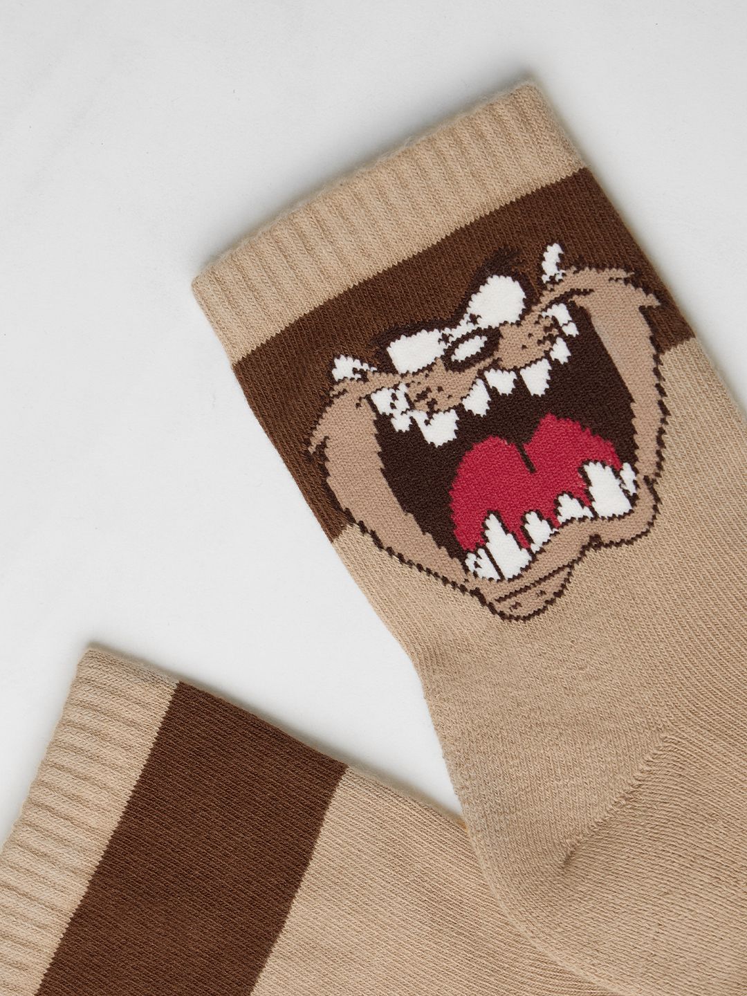 Looney Tunes: Taz Socks