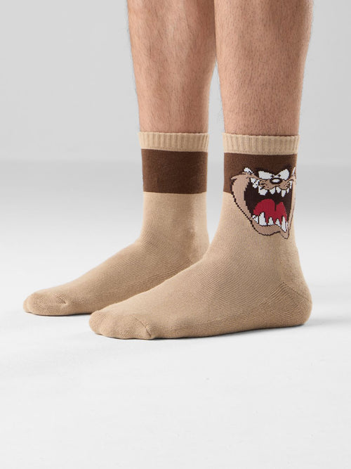 Looney Tunes: Taz Socks