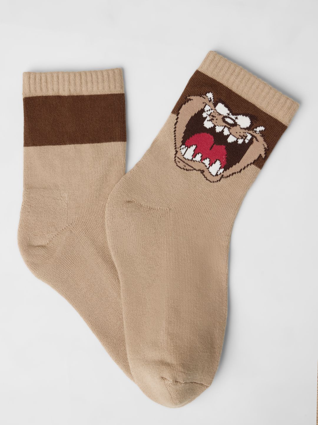 Looney Tunes: Taz Socks
