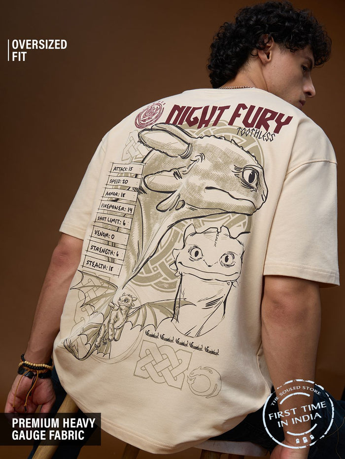 HTTYD: Shadow Wings Oversized T-Shirts