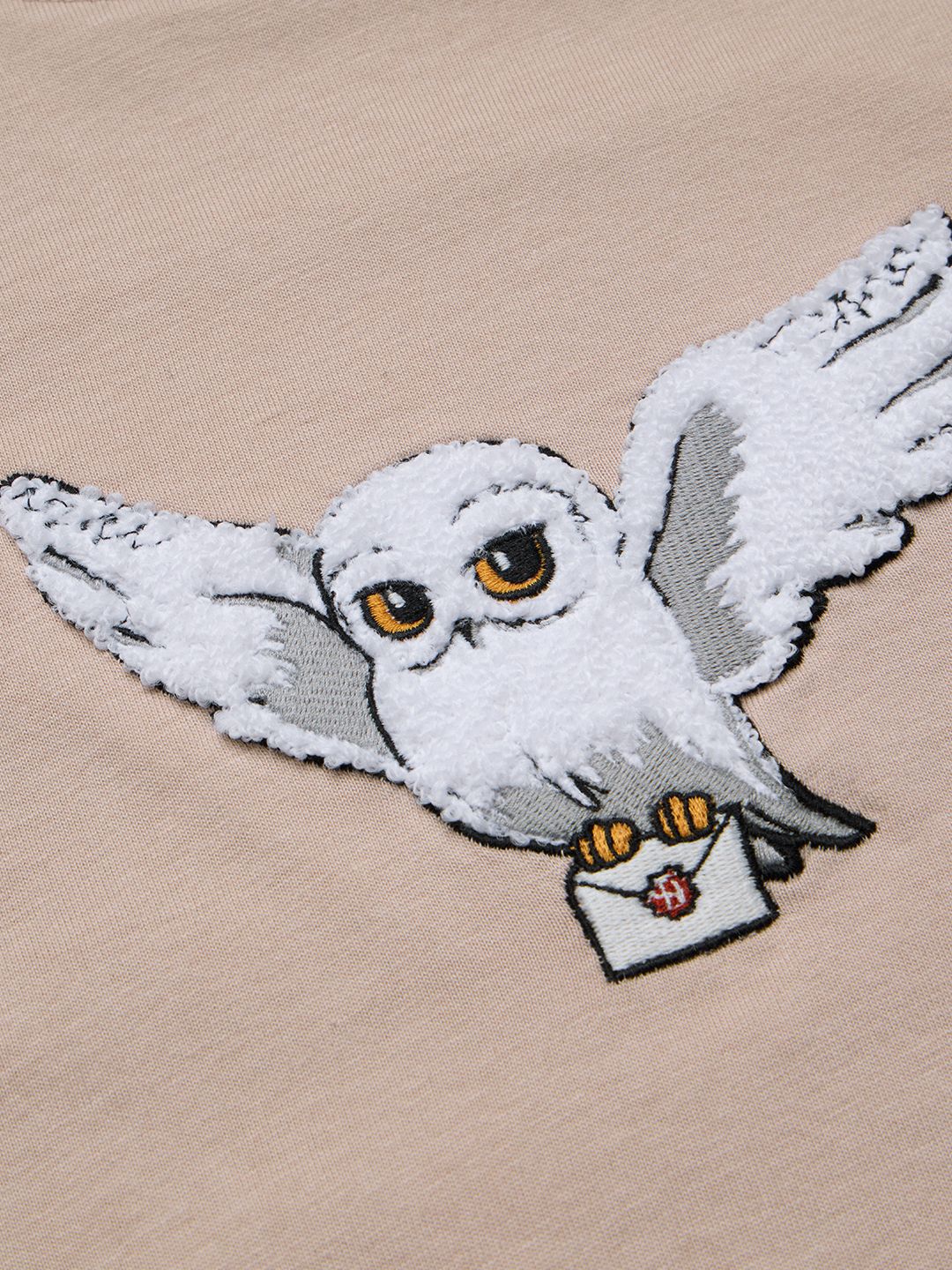 Harry Potter: Hedwig Women Relaxed T-Shirts