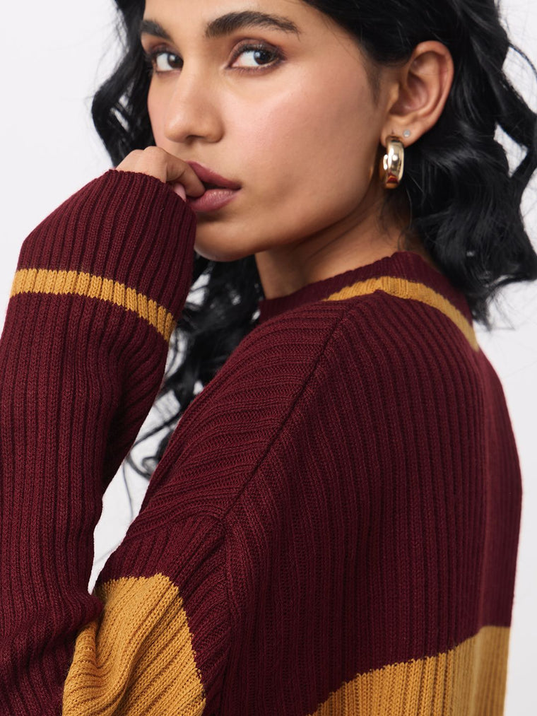 Harry Potter: The Bravehearts Women Oversized Sweaters