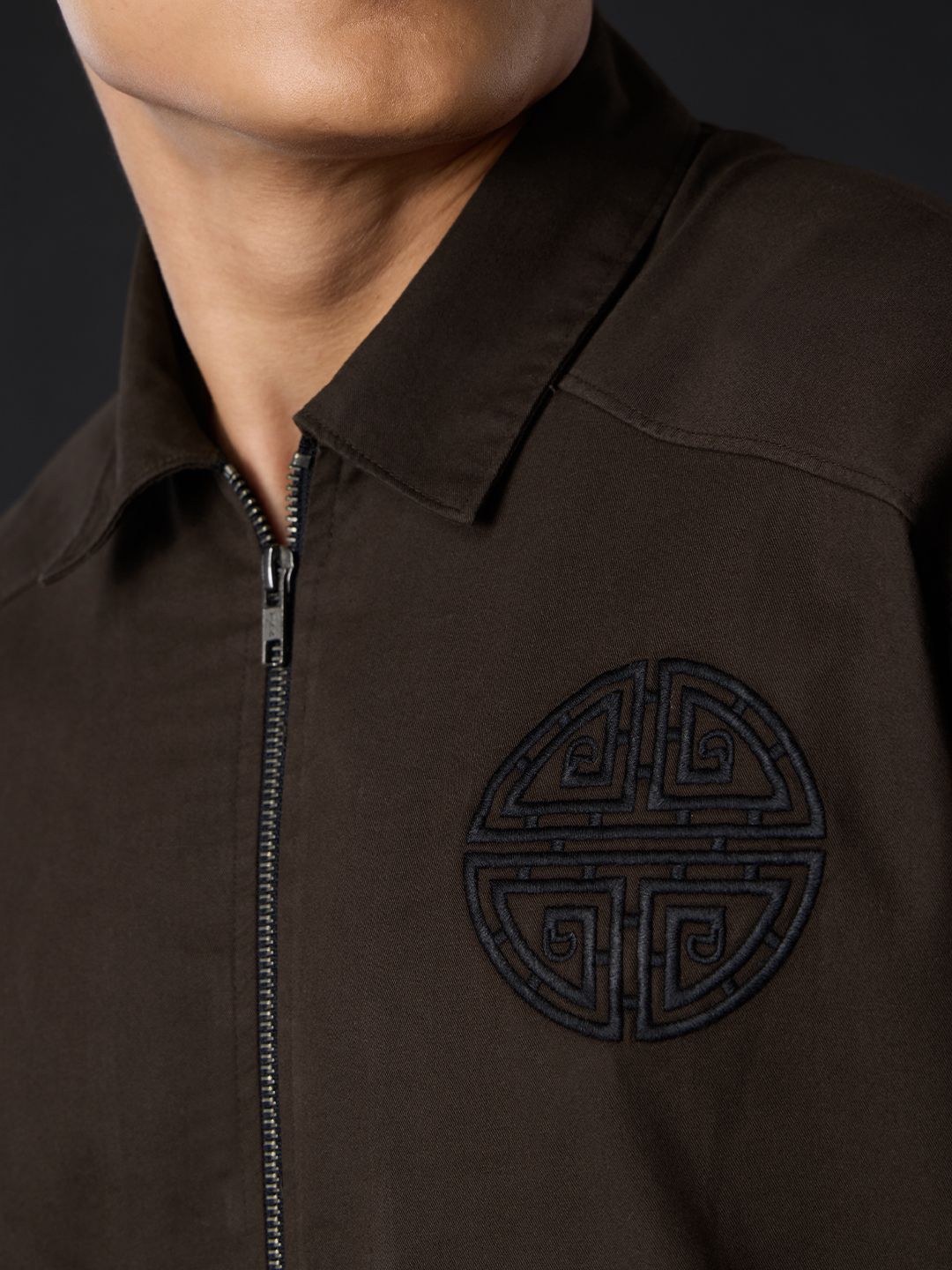 Zipper Shirt: Kung Fu panda Oversized Shirts