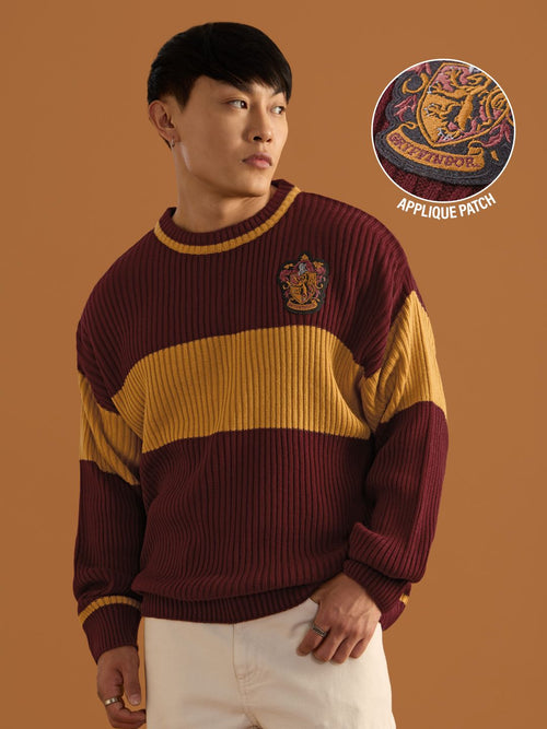 Harry Potter: Lion's House Oversized Pullovers