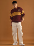 Harry Potter: Lion's House Oversized Pullovers