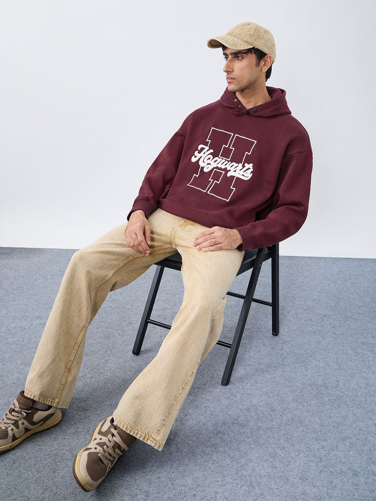 Harry Potter: School Of Magic Men Oversized Hoodies