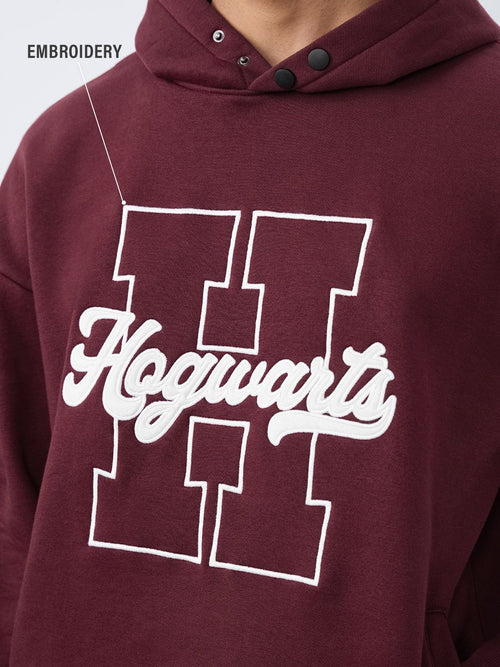 Harry Potter: School Of Magic Men Oversized Hoodies