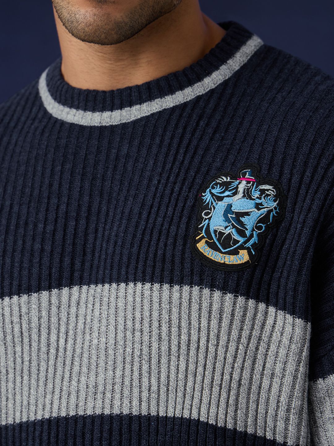 Harry Potter: Witty House Oversized Pullovers