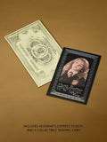 Hermione's Wand Collectibles