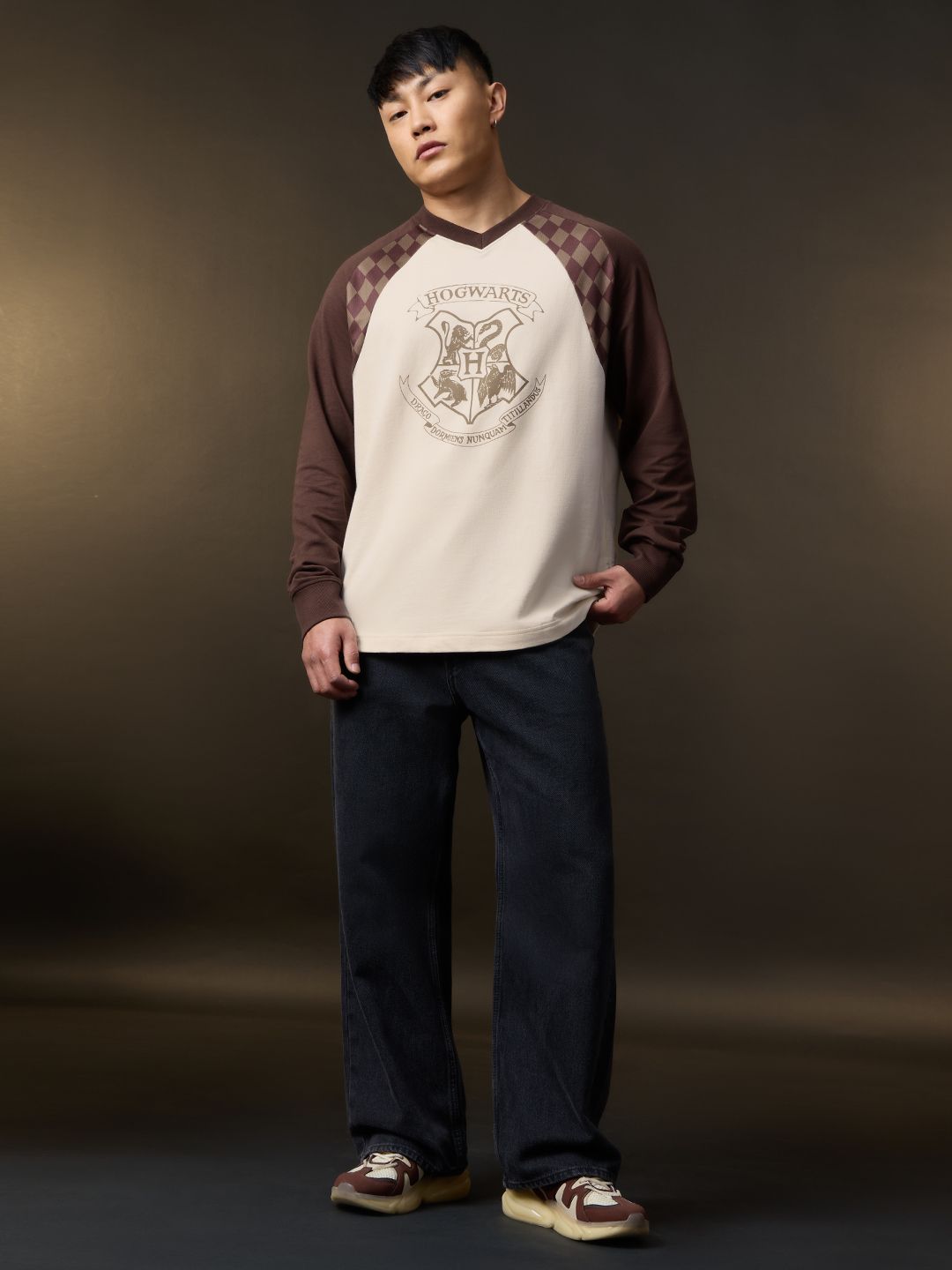 Harry Potter: Four Houses Oversized Full Sleeve T-Shirts
