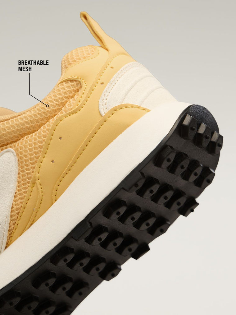 Trailz: Sunlight Men Low Top Sneakers
