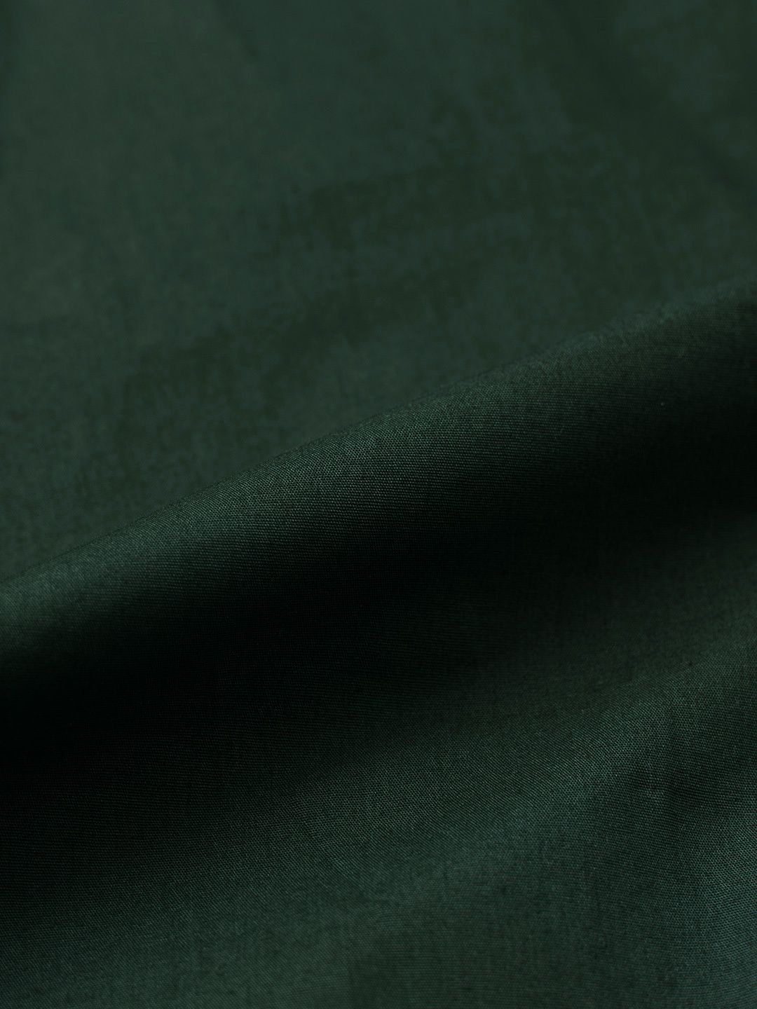 Tailored Solids: Regal Women Fitted Shirts