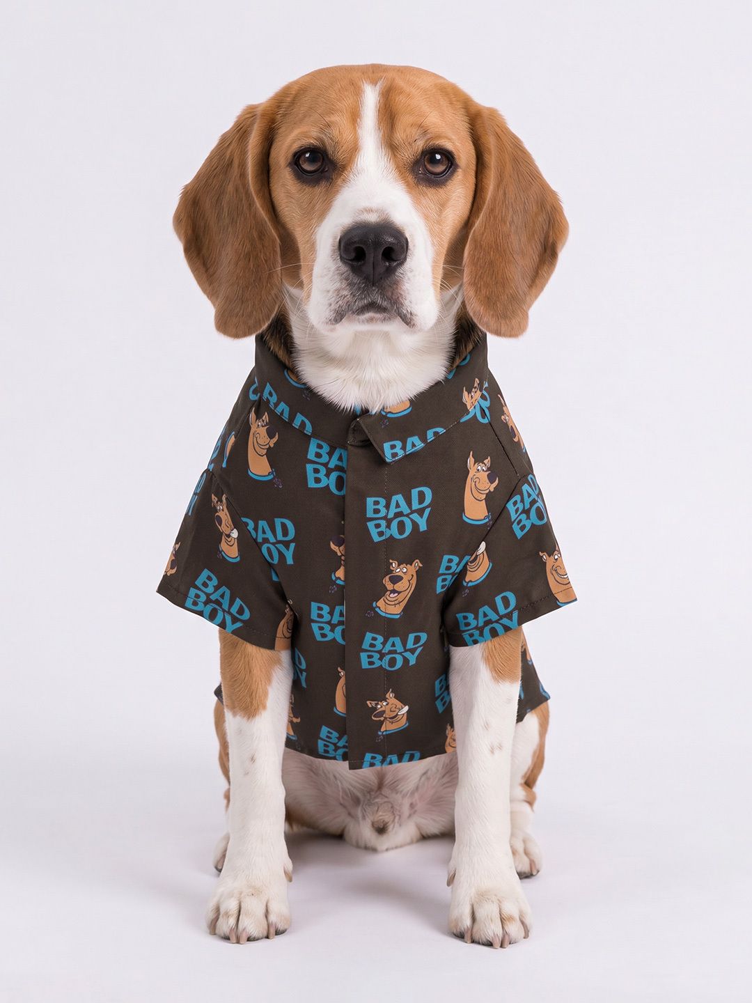 Pet Shirts: Scooby Doo Pet Shirts