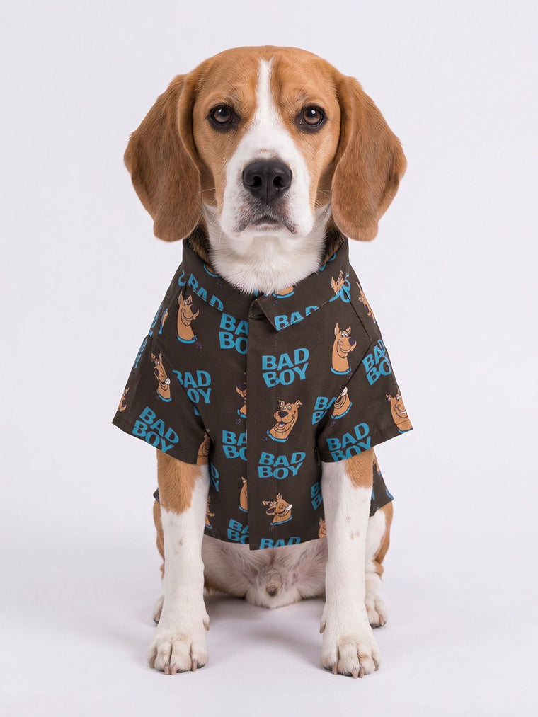 Pet Shirts: Scooby Doo Pet Shirts