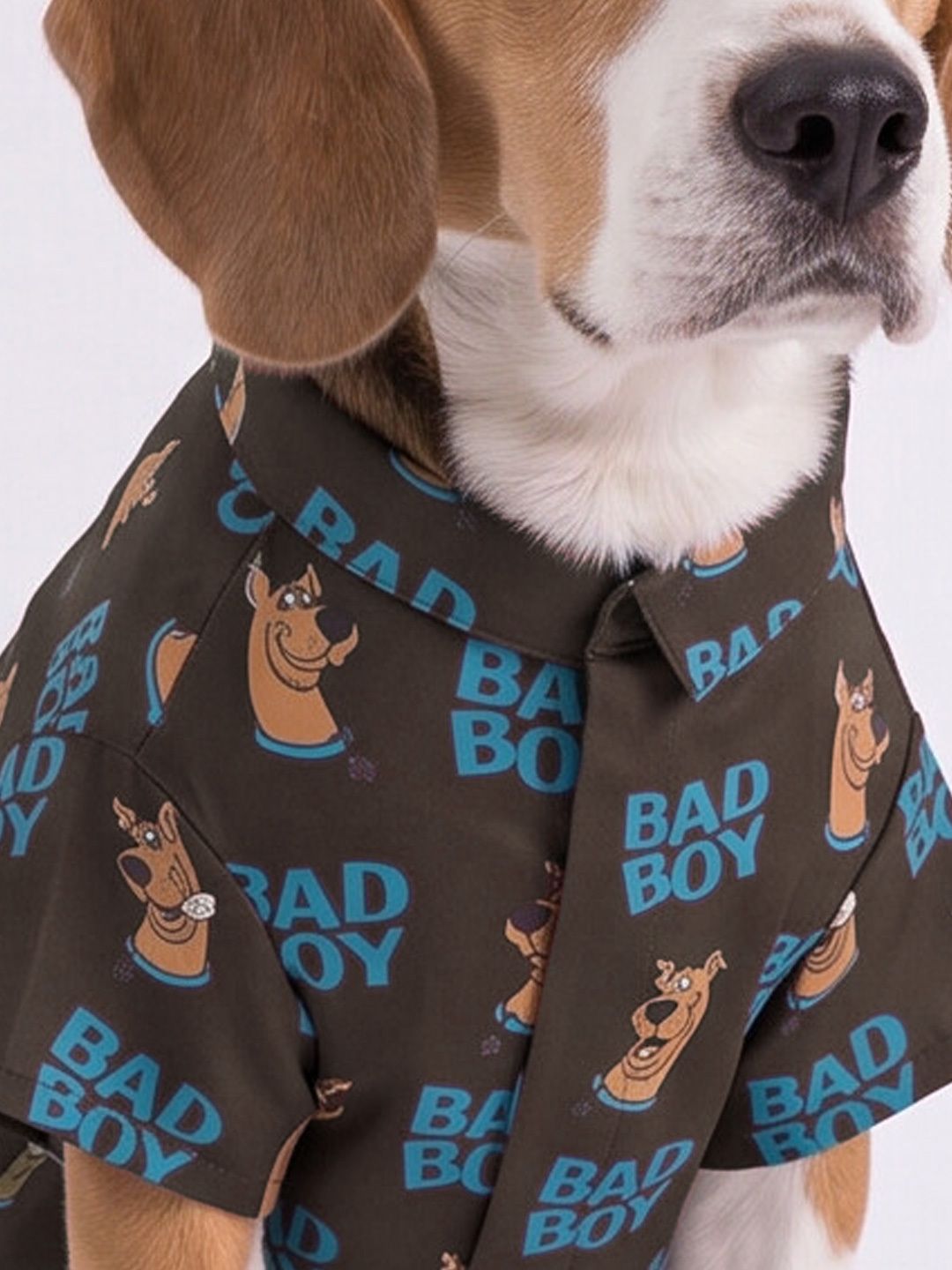Pet Shirts: Scooby Doo Pet Shirts