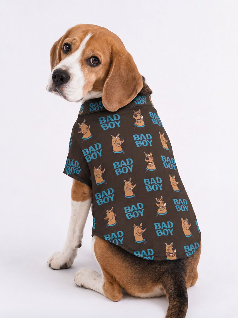Pet Shirts: Scooby Doo Pet Shirts