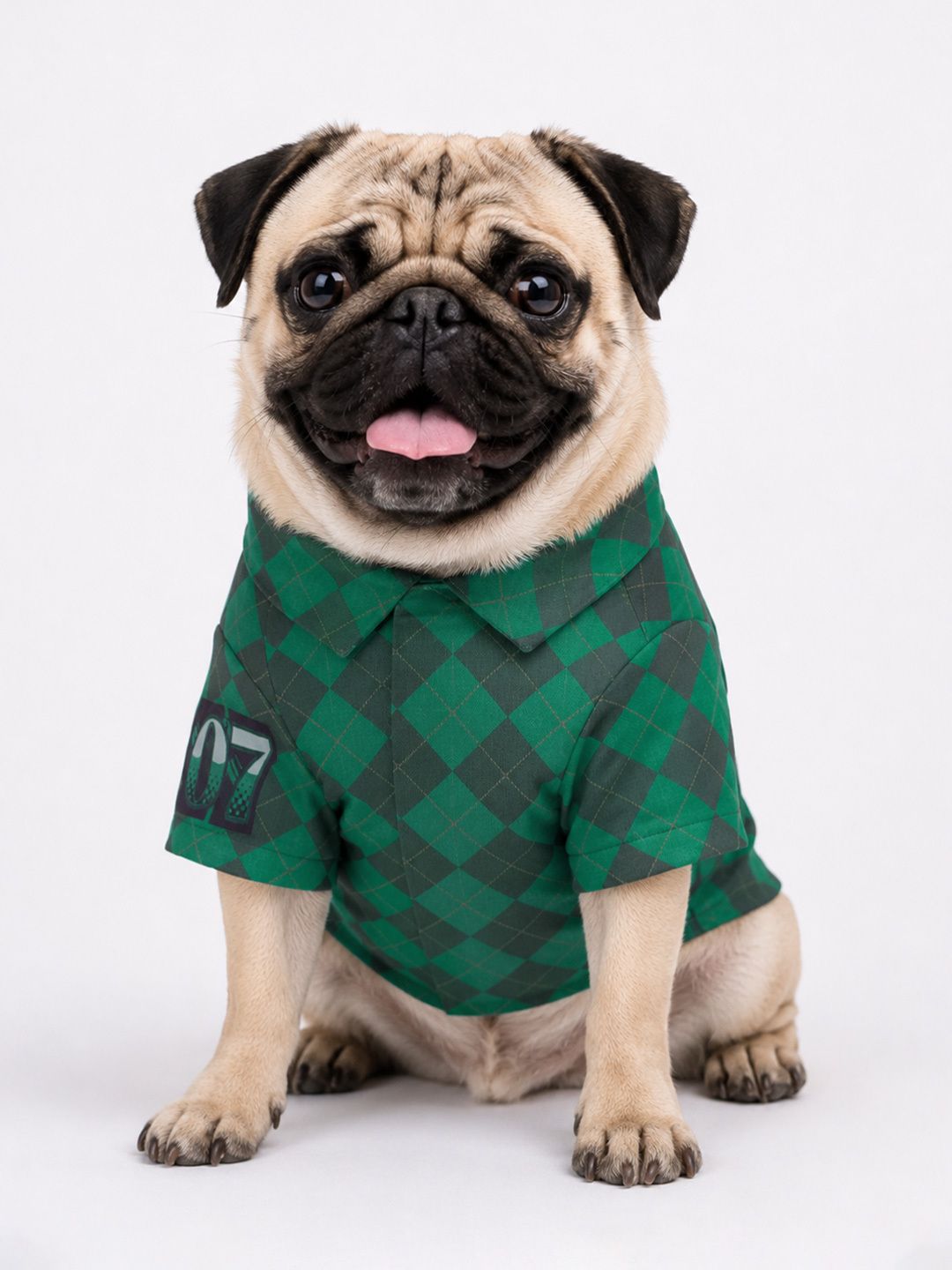 Pet Shirts: Slytherin Pet Shirts