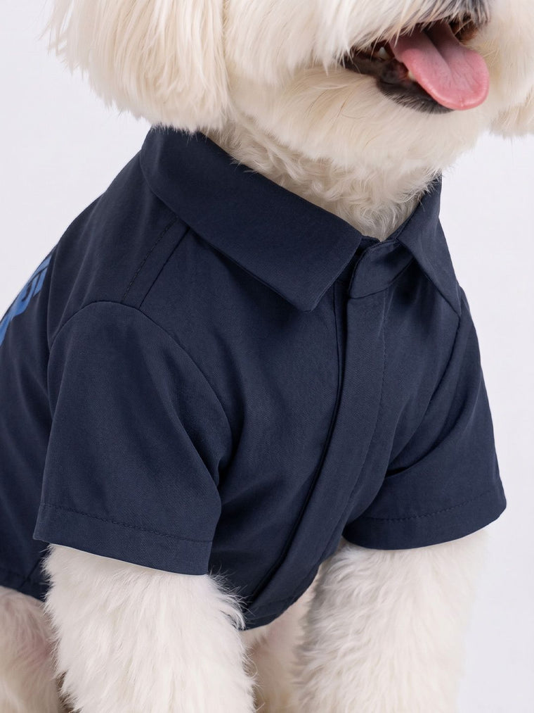 Pet Shirts: Superman Krypto Pet Shirts