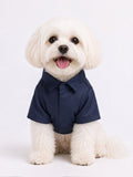 Pet Shirts: Superman Krypto Pet Shirts