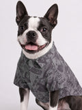 Pet Shirts: Superman Pet Shirts