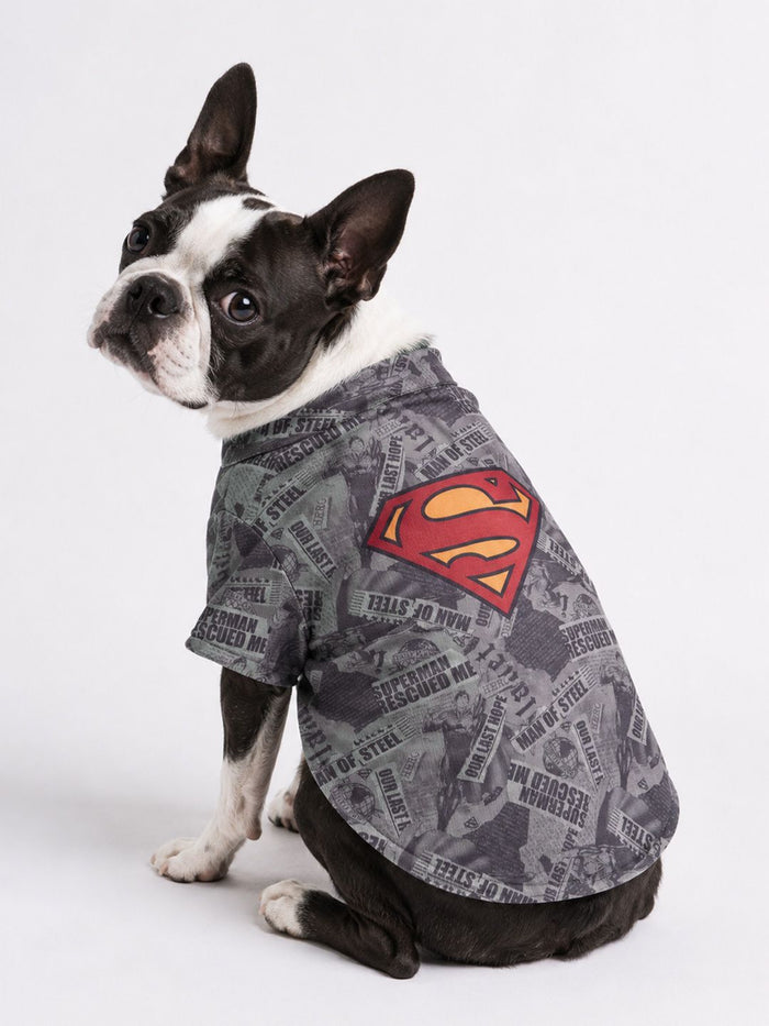 Pet Shirts: Superman Pet Shirts