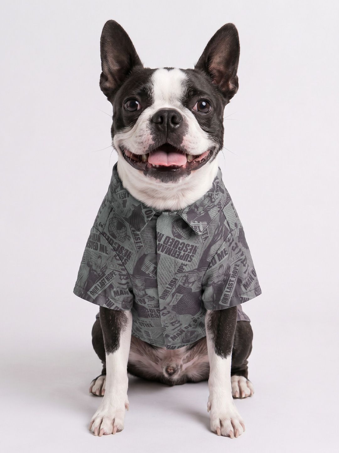 Pet Shirts: Superman Pet Shirts