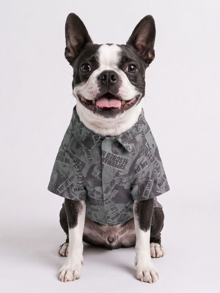 Pet Shirts: Superman Pet Shirts