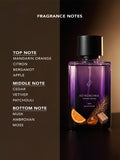 Astronomia 2.0: Amber Dusk Men Perfumes